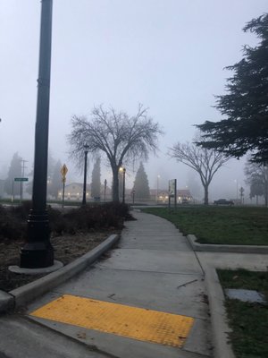 So foggy