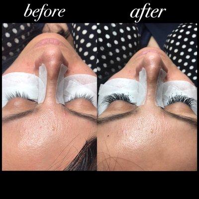 Full Set Lash Application