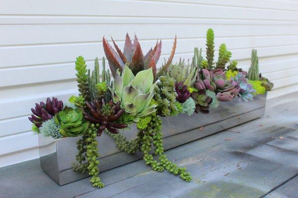 Fake Succulent arrangements, true to nature, and looks real!