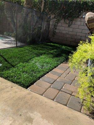 Some new sod and pavers to expand your entertainment area!