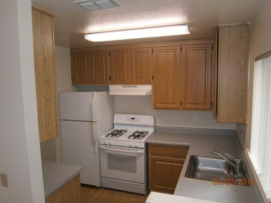 all kitchens have a gas cooking stove, dishwasher and refigerator