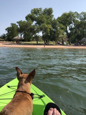 Beach area from the water