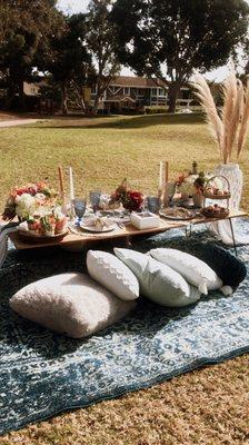 Picnic set up