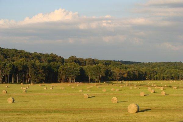 Southern Missouri Farms For Sale