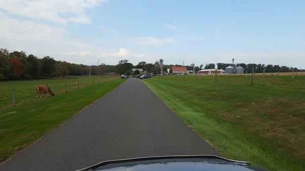 Main driveway