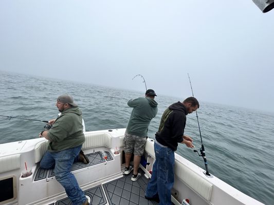 Bottom fishing Black Sea bass