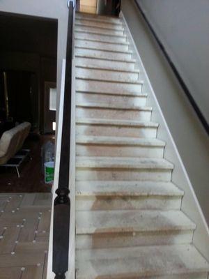 Engineered Wood stairs preparation