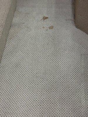 Carpet Stains