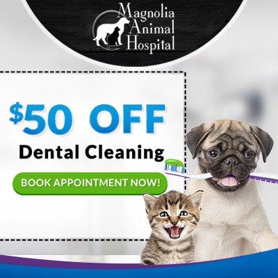 $50 OFF Dental Cleaning during February Pet Dental Health Month. Call Now 352-835-5804