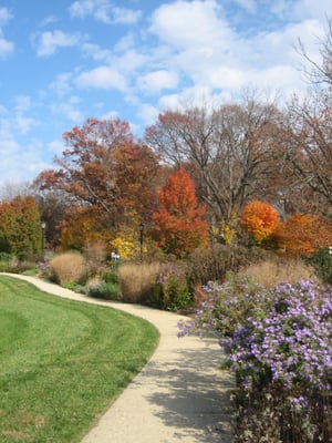 Creation of our Great Falls Garden Club.