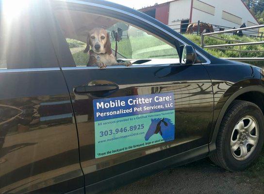 Mobile Critter Care: Personalized Pet Services