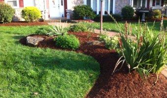 Mulch and Edging