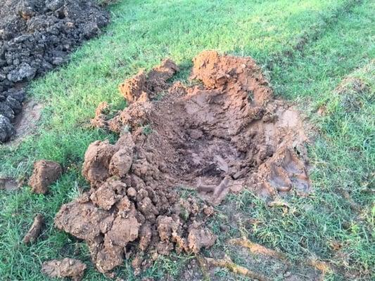 Rock Haus Stone left foot-deep tire treads in my yard and refuse to fix it.