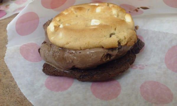 White chocolate macadamia nut cookie, chocolate hazelnut ice cream and double fudge cookie bottom