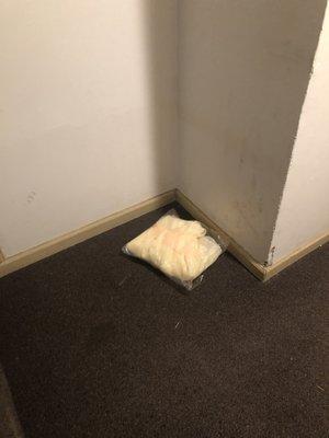 My stolen package that i found, by chance, in my hallway.