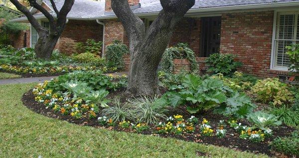 Shady Solution. Installed shade-tolerant plants. Enhanced curb appeal.