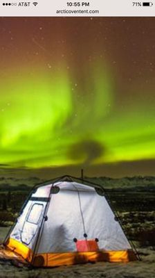 Northern lights ( photo not mine, from their website)