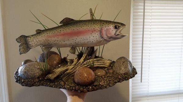 Rainbow trout