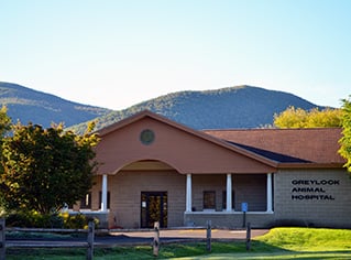 Greylock Animal Hospital