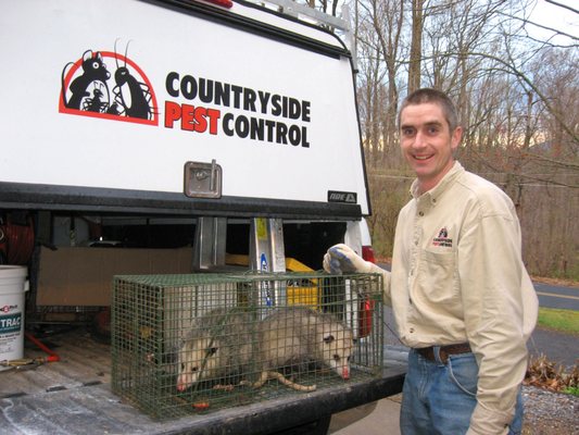 Countryside Pest Control