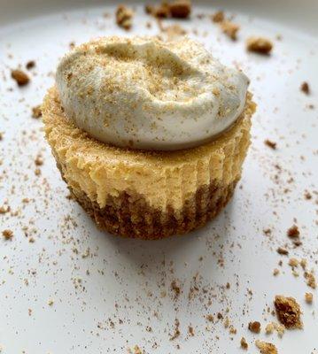 Petite Pumpkin Cheesecake with Fresh Whipped Cream!