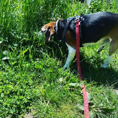 Embracing the farm smells