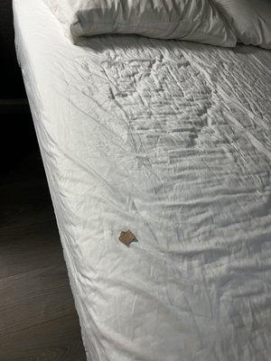 Beds not clean there was an used band aid between the sheets