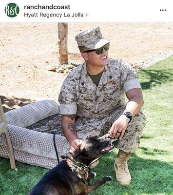 We support our troops by providing approved veterans with service dogs  at no charge.