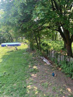 Removed neighbors tree overgrowth