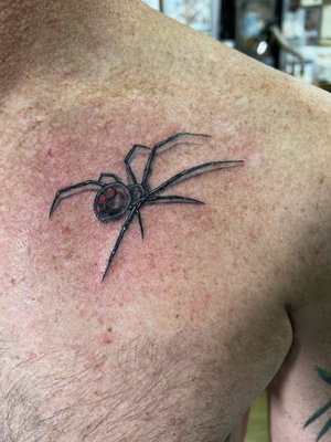 Spider