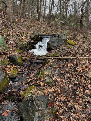 WNC Nature Center