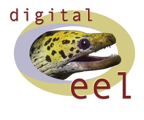 Digital Eel