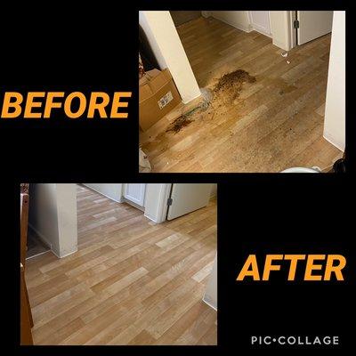 Client Before & After pictures