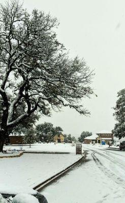 Unusual snowy day in Bell County 1.10.21 all day so far