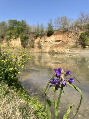 Spring-Fed Adventures