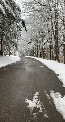 Such a beautiful walk through Chestnut Ridge Park during the Winter