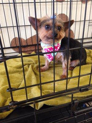 Cali sporting her well needed sporty summertime cut.