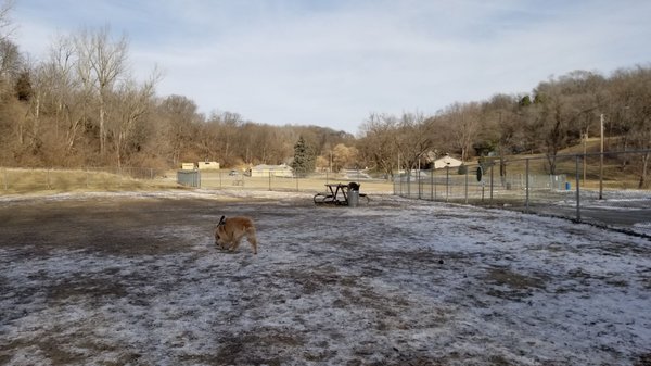 Jewell Dog Park