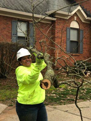 Our professional clearing branches for DJ Tree Service, LLC