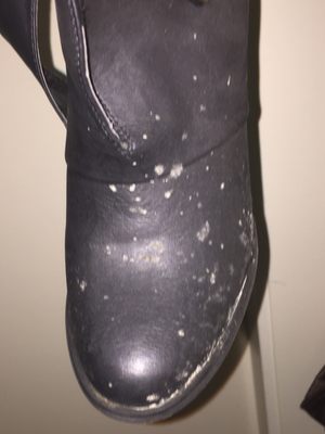 Brand new shoes in the closet mold all over them (crossroad apt)