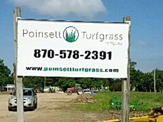 Poinsett Turfgrass