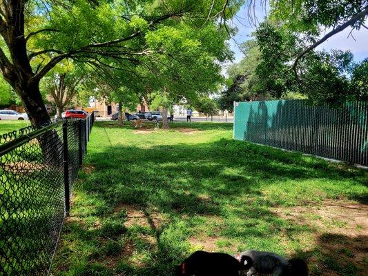 Another mini dog park POV