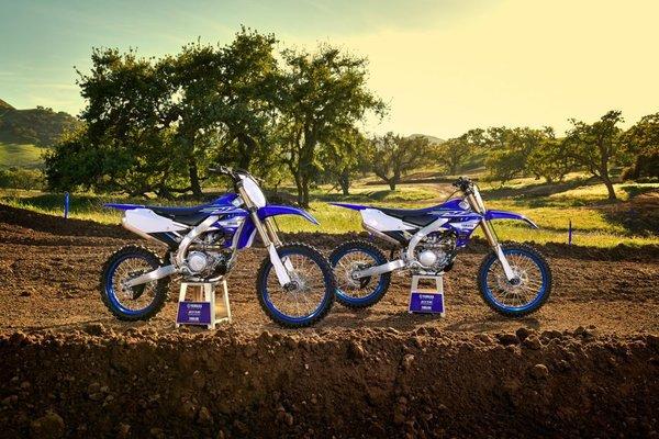 The 2019 Yamaha's