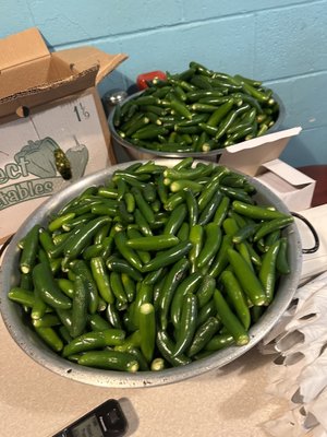 Fresh jalapeños waiting to be used