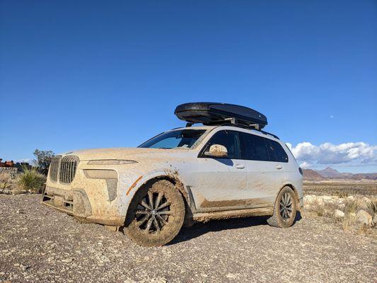 Muddy in Big Bend