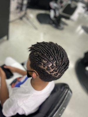 Starter Locs