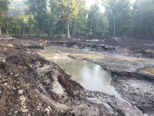 digging a pond