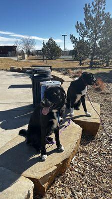 Plenty of quiet spots to do a little work with your fur babies