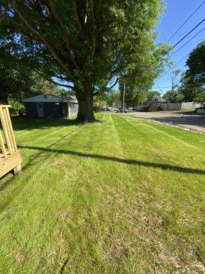 First mow of this freshly seeded yard!