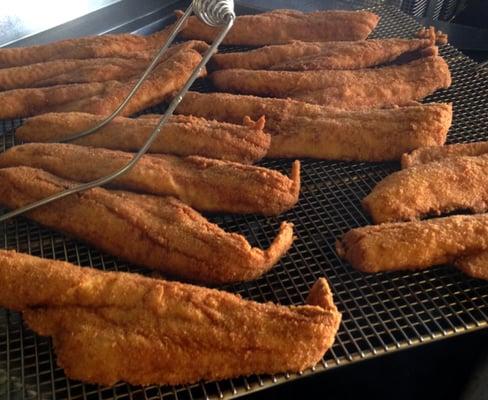 Golden fried haddock fillets; fresh every Friday at CJ's Seafoods on Teall Ave. in Syracuse.